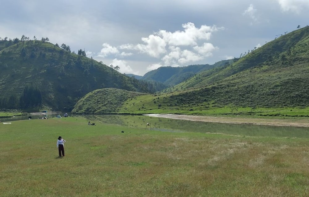 Bulls Trek